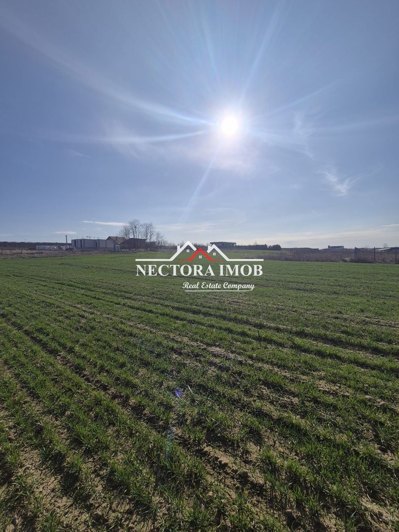 NECTORA IMOB-Teren Intravilan 537 mp, Zona Solay, 250 m de asfalt - Poză 3
