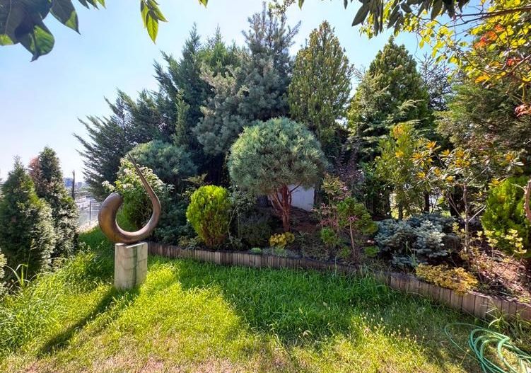 Triplex vedere panoramica | Terasa 80 mp | Herastrau - Poză 4