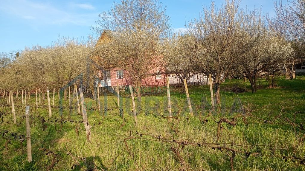 Teren de 2000 mp cu casă în Bucium Pietrarie, Iași – 3 camere, 2 băi, garaj - Poză 3