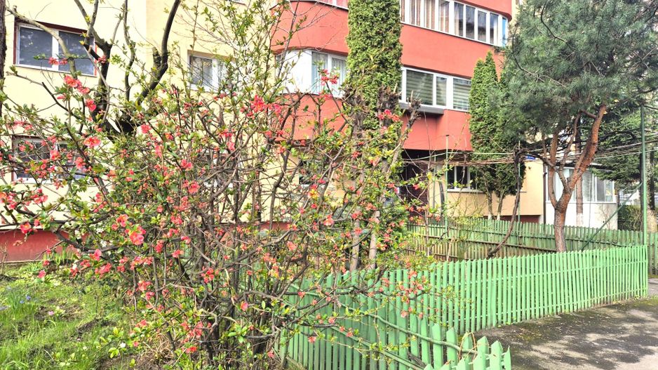 Exclusivitate - Pârâului 1, garsoniera mobilată, pet friendly - Poză 3