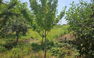 Teren de vanzare, 561 mp, strada Cetatea Alba, Mamina, Comuna Berceni - Poză 5