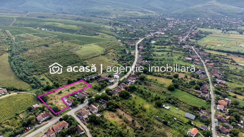 Teren de vis în Ghioroc! Stațiunea supranumită ”Litoralul Vestului” - Poză 5