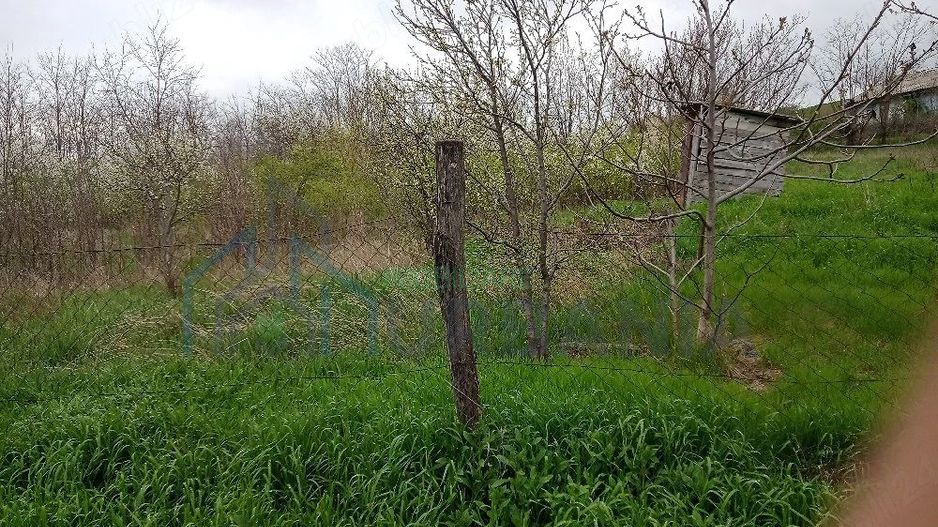 Casă și teren în Sat Cuza Vodă, comuna Popricani - Poză 2