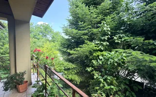 VANZARE VILA 280 MP UTILI | TEREN 900 MP | 5 CAMERE | VOLUNTARI - Poză 16