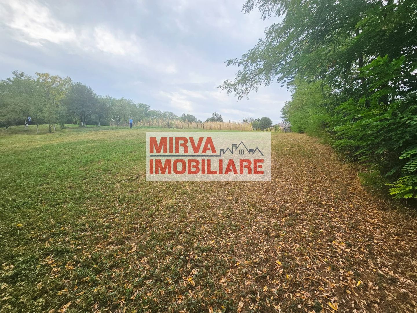 🏞️ Teren intravilan, cu priveliște – Vălenii de Munte - Poză 5