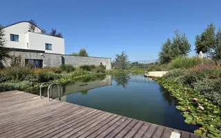 Chirie I Apartament 2 camere I Avalon Estates I Designer I Sala I Paza - Poză 17