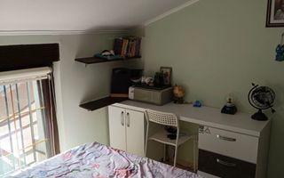 Ap mic si cochet in Piata Ovidiu - Poză 1