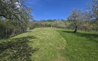 Teren 5400 mp superb cu livada si vedere spre munti Orlat - Poză 11