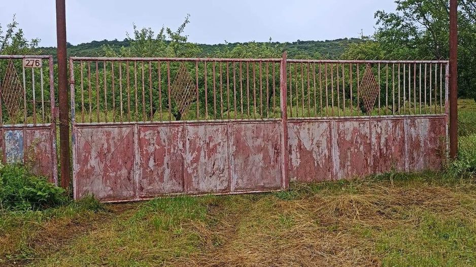 Tren si casa de vacanta in Panticeu - Poză 7