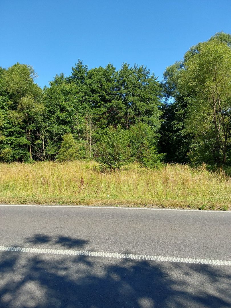 TEREN INTRAVILAN ÎN MARGA-LA DN68 JUD.CARAȘ-SEVERIN - Poză 3