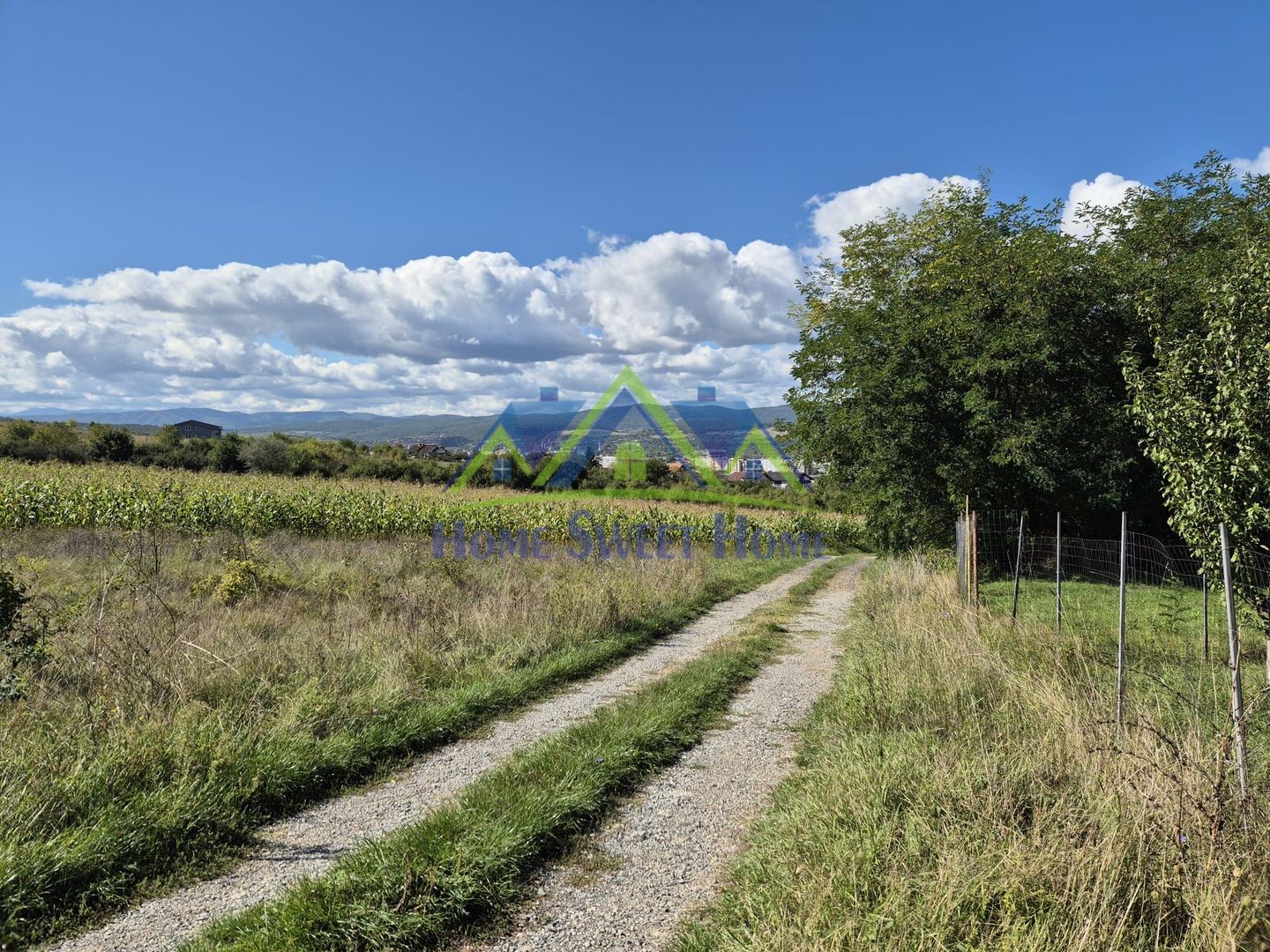 Teren intravilan în zona Lătureni – Buituri, în spatele casei nr. 100! - Poză 10