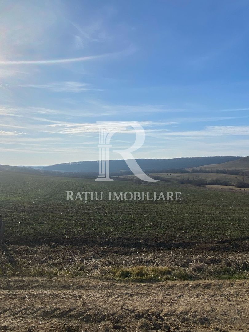 Teren extravilan de vanzare 3.900mp | Mierlau | Bihor - Poză 2
