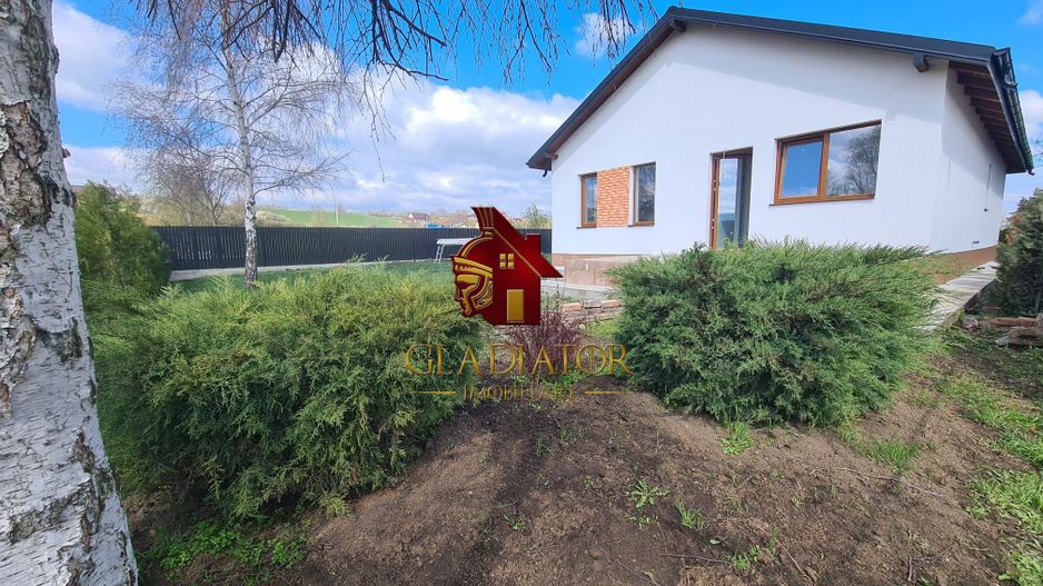 Casa plan parter deosebita, Lunca Cetatuii Ciurea, la asfalt, zona vis - Poză 10