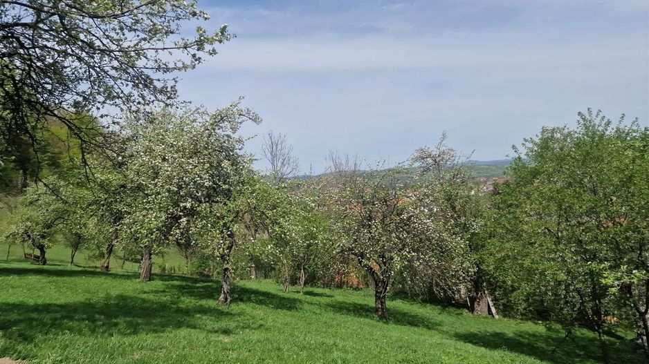 Langa emblematicul Castelul Bran, in areal colinar, 5.700mp intravilan - Poză 8