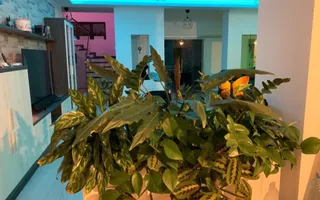 Balotesti vila de lux 8 camere, 450mp utili, la 20 min de Bucuresti - Poză 11
