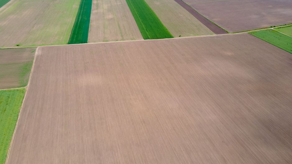 Teren de 5Ha în Satchinez. - Poză 5