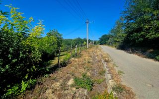 🌳 Teren intravilan 2322 mp, Păcuri – vedere superbă spre pădure! 🏡✨ - Poză 3