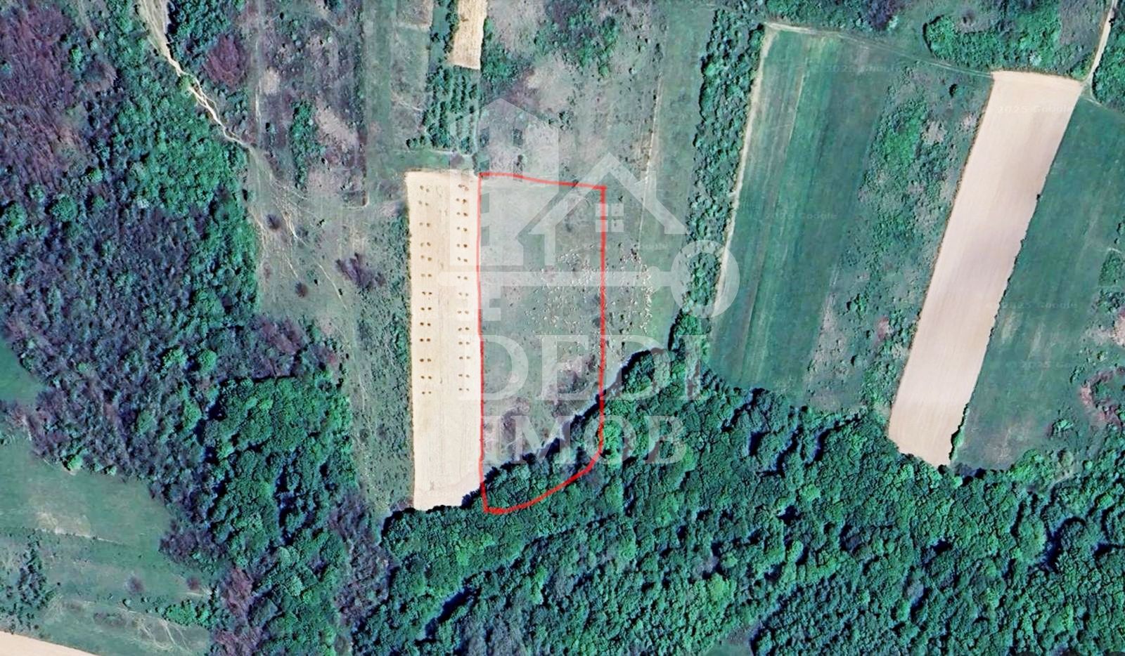 Teren 1 EURO/mp de vanzare in Tileagd-Balaia, Bihor - Poză 1