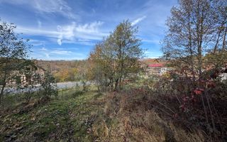 TEREN INTRAVILAN 13167 MP BUGHEA DE SUS ARGES - Poză 7