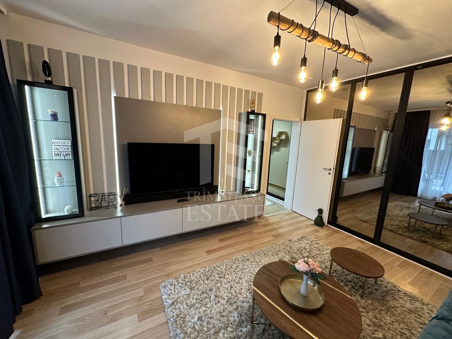 Apartament 2 camere cu loc de parcare si terasa EvoCasa Optima Titan - Poză 3