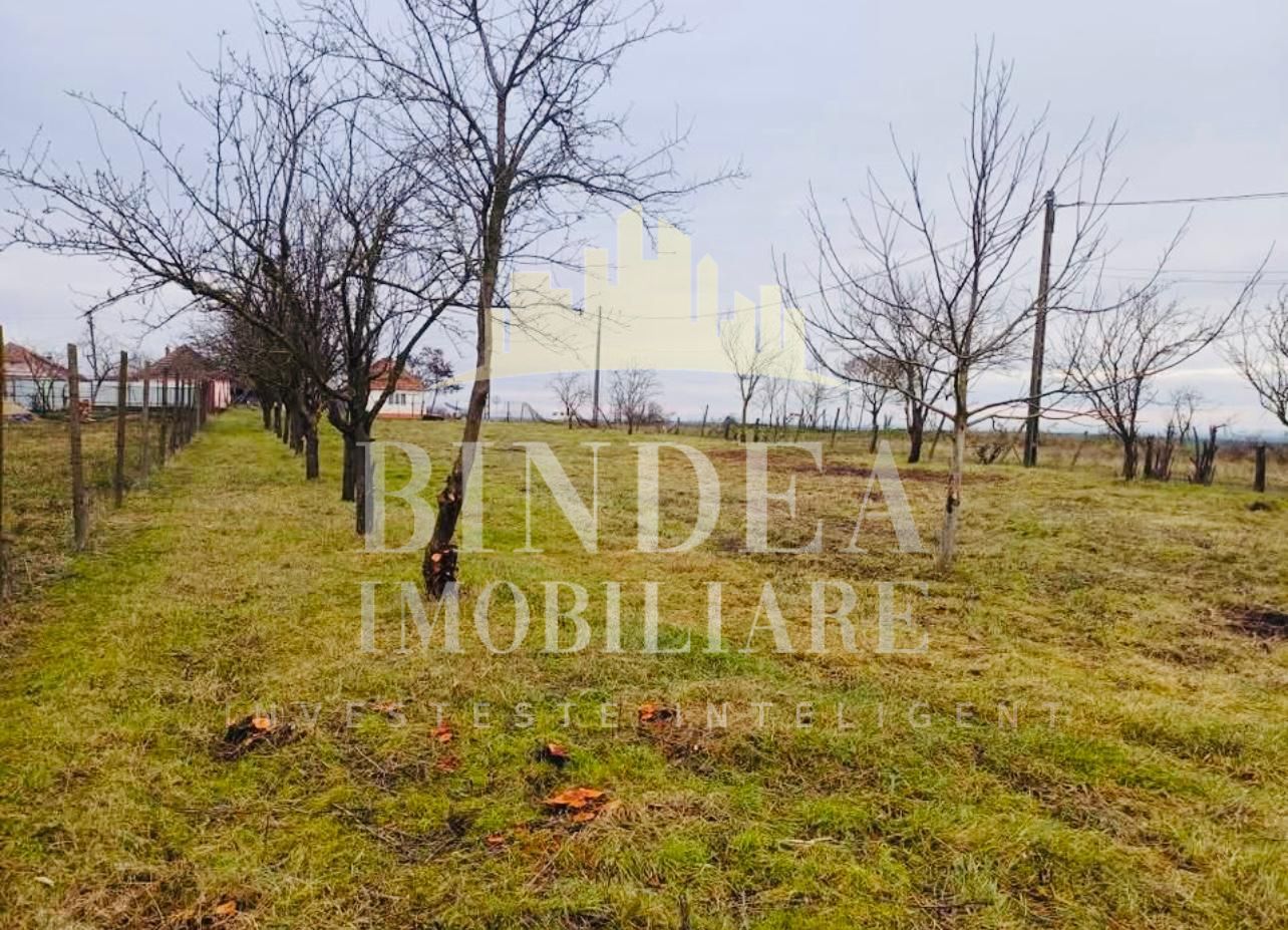 Teren Intravilan 30euro/mp pe colt- Bencecul de Sus - Poză 6