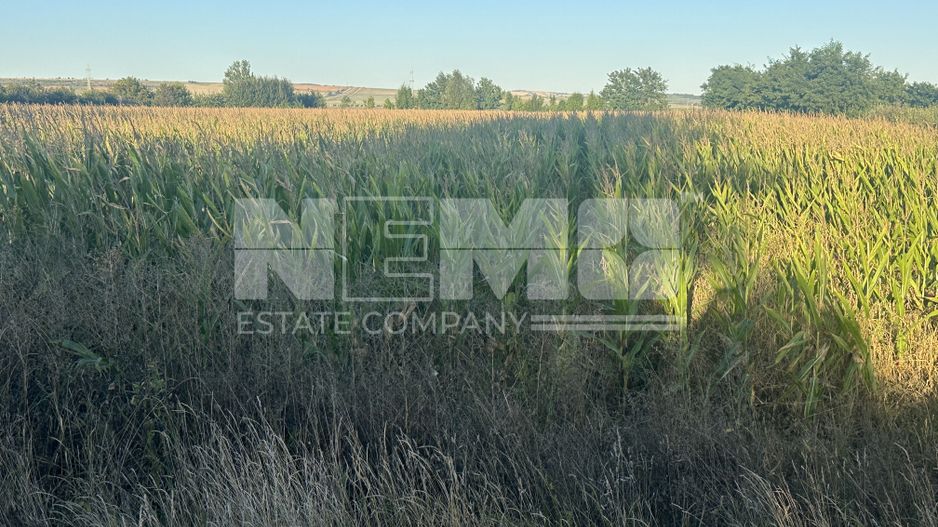 Teren Siret E85 | 2500MP | Toate Utilitățile - Poză 1