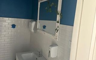 Spațiu comercial Valea Lupului, suprafață utilă 220 mp - Poză 14