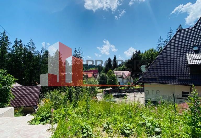 Vila Sinaia - Poză 4