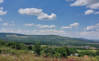 Teren intravilan, Curaturi, comuna Ciurea, 6310 mp - Poză 3