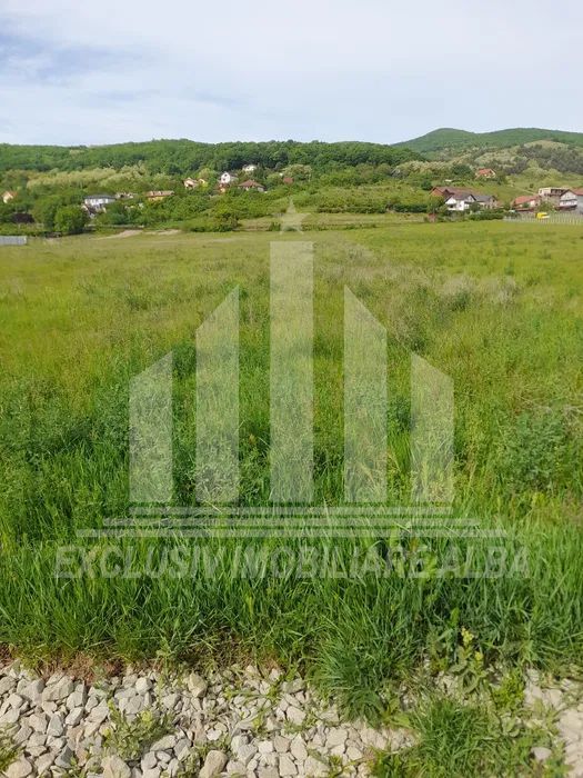 Teren intravilan | De vanzare | 5738 mp | Micesti - Poză 1