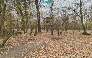 Teren pe malul Muresului- oportunitati multiple - Poză 6