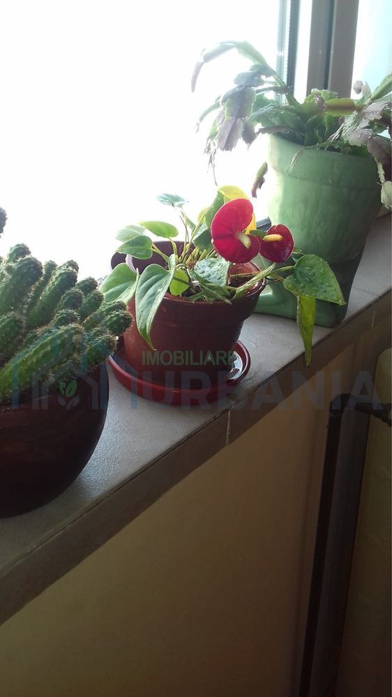 Inchiriez apartament 2 camere zona Dacia - Poză 7