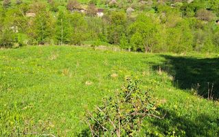 Teren extravilan de vanzare, Bistrita Bargaului- 10 minute de Colibita - Poză 14