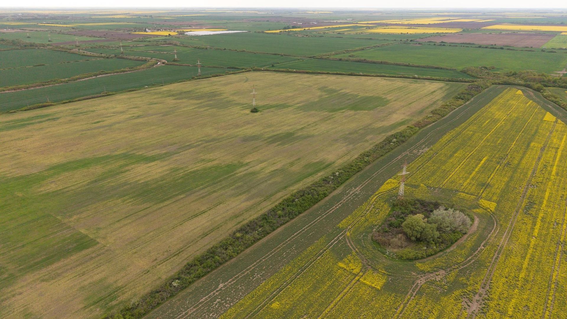 Teren investițional strategic 44.700 mp Arad Vest - Poză 17