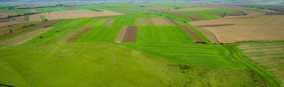 Teren agricol 5ha Giarmata langa Antena Radar - Poză 2