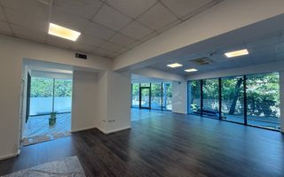 Spațiu comercial premium / Băneasa Offices / Parc Herăstrău - Poză 3