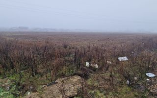 Teren intravilan | Santandrei | Bihor - Poză 2