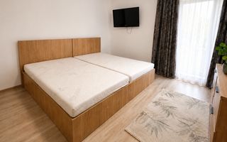Apartament 2 camere modern Doamna Stanca - Poză 6