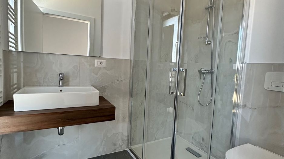 Apartament 3 camere Torontalului - Veterinary Faculty - Poză 7