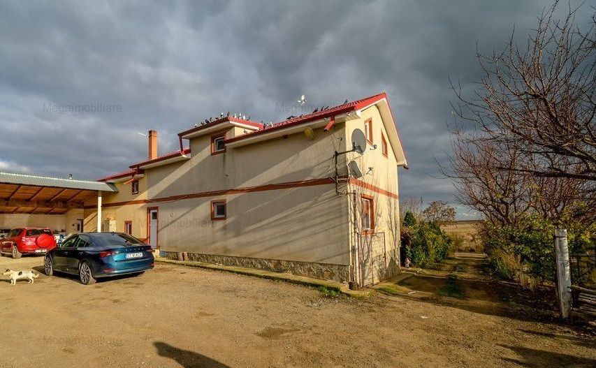 Vanzare ferma agricola Negru Voda - Constanta cu 240 hectare teren si utilaje - Poză 9