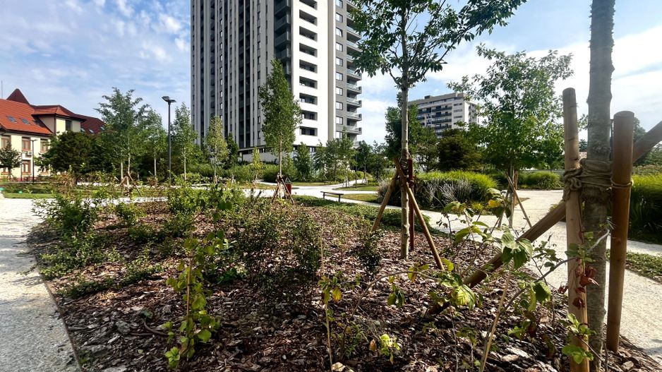 Apartament 3 camere, elegant, cu parcare subterana, Take Ionescu- Isho - Poză 20