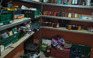 Casa in cartierul Nufarul - Poză 8