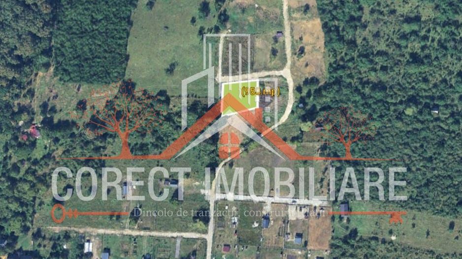 🌿 Teren de vânzare – Valea Budacului - Poză 1