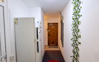 Suprafata Generoasa I Zona Gemenii - Poză 9