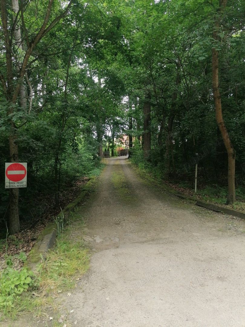 Vând casă Satu Mare P+M+D - Poză 1