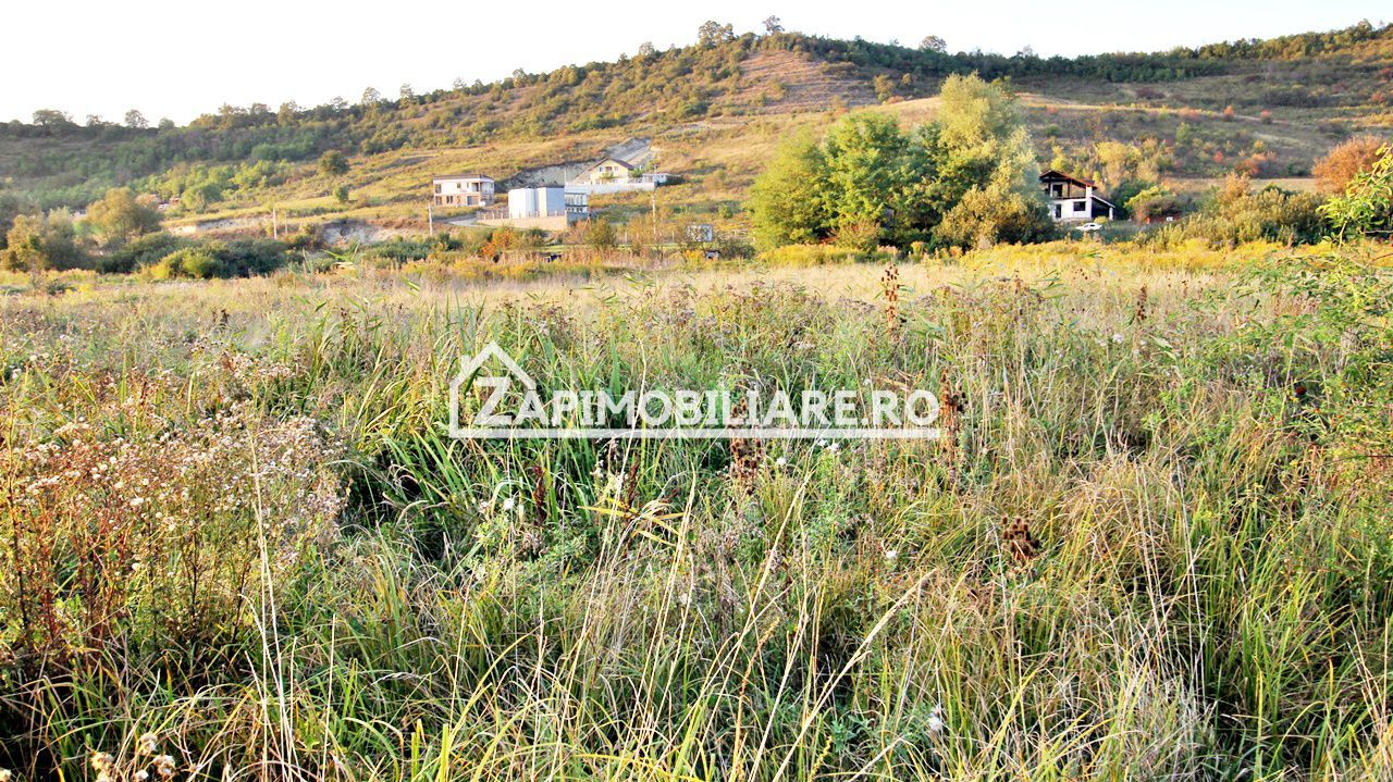 De vanzare 2 terenuri de 29.500 mp si 1.400 mp.29 euro mp - Poză 7