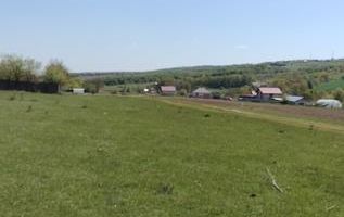 Teren extravilan 7.200 mp, Bordea - Grajduri, oportunitate investiție - Poză 1