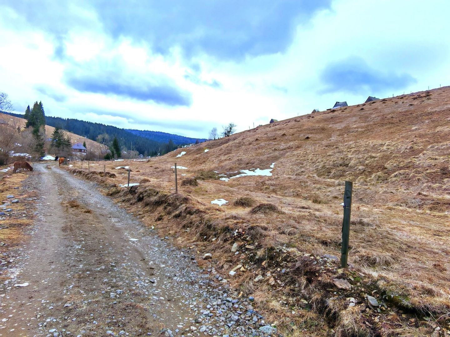 8.263 mp Teren cu Pârâu și Izvoare în Beliș-Fântânele, Cluj - Poză 6