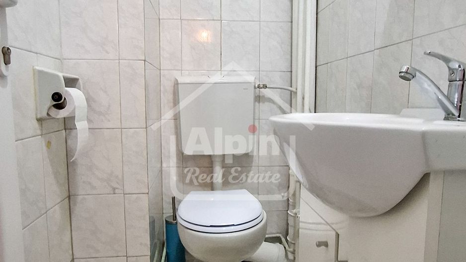 Suprafata Generoasa I Zona Gemenii - Poză 22