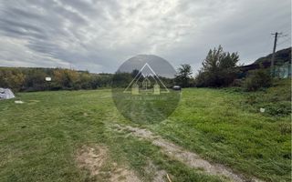 Teren Copsa Mica - Poză 3